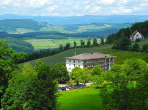  Hotel Bad Ramsach  Лойфельфинген